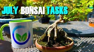 Summer Bonsai Survival Guide: Mastering July's Challenges