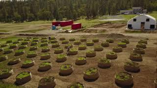 The Daily Grind #194 SOLO Farms Official 1st Plantings1