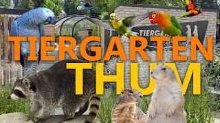 Tiergarten Thum - Ein Kleinod im Erzgebirge? | Zoo-Eindruck