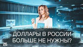 Доллары в России больше не нужны? Стоит ли продавать доллары?