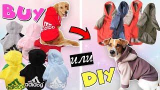 BUY или DIY? | Тёплая толстовка для собаки своими руками + подробная выкройка