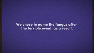 Analog Horror - The Alzolie Fungus
