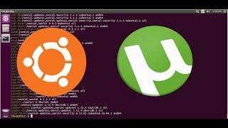 Installing utorrent on Linux/Ubuntu