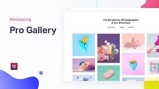 Elementor Pro Gallery Widget: The Best Image Gallery Solution for WordPress
