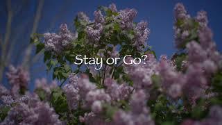 Stay or Go?