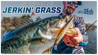 How to Fish Jerkbaits for Bass Around Grass