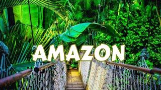 Top 10 Places to discover In Amazon in 2024 / Travel Video.