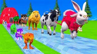 Paint & Animals Golden Cow,Rabbit,Dog,Buffalo,Lion Fountain Crossing Transformation Animal Cartoon