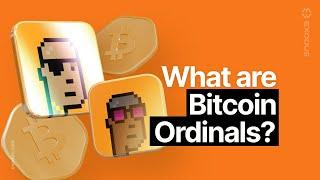 How To Understand Bitcoin Ordinals (Complete Guide)