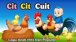 Lagu Anak Anak - Cit Cit Cuit - Aniasi Burung Ayam Bebek Lucu - Lagu Anak Populer