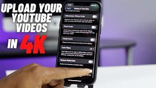 How to Fix Youtube Videos Not Showing up 4k - fixed