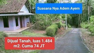 Suasana kampung Campaka, Adem Ayem Ada Tanah Yang Mau Dijual Depan Rumah, Pak Saeful