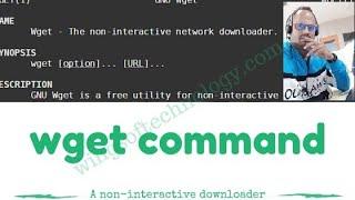 Wget command in Linux