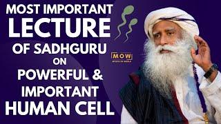 Great Advise For This Generation Don't Waste Your Spe*m || Stop For 60 Days || Sadhguru || MOW