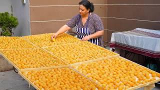 From Garden to Table: Drying Apricots in Sulfur Cooking Traditional Pilaf and Sweets