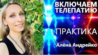 Включаем телепатию. Практика. Алёна Андрейко Andreiko Aleona