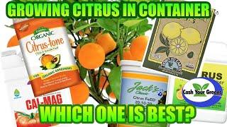 BEST FERTILIZERS FOR CITRUS - Growing Citrus in Containers