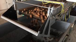 Potato Box Filling with Tong MonstaFill High Capacity Box Filler | Tong Engineering