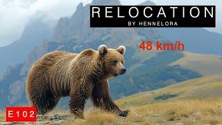 E102 | We met a bear on Mount Dimats. Armenia