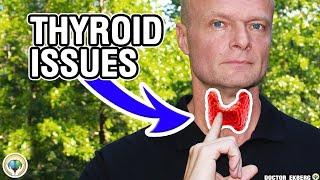 Thyroid Issues Explained