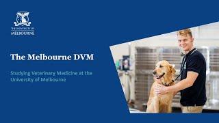 The Melbourne DVM - Explore your study options