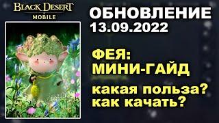  BDM: ФЕЯ: мини-гайд  ИВЕНТЫ  БДМ Обновление 13.09.2022 в Black Desert Mobile