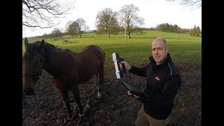 So can you 3D laser scan a horse?