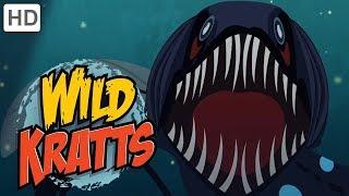 Wild Kratts - Ocean Explorers | Kids Videos