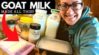 Transforming Goats Milk into SIX+ Dairy products | Cream Separating Day