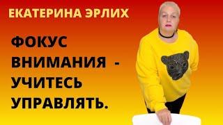 ФОКУС ВНИМАНИЯ - УЧИТЕСЬ УПРАВЛЯТЬ. Екатерина Эрлих