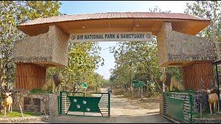 Gir National Park | Jungle Safari | Gir Jungle | Sasan Gir Gujarat | Manish Solanki Vlogs