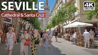 Seville's Cathedral and Santa Cruz area ️ 4K Virtual Walking Tour, Spain