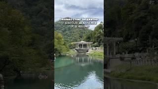 Бюджетный отдых в самом красивом городе Абхазии Как считаете: дорого это или мало? #абхазия