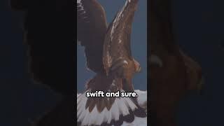 Attack of the Eagle: eagles fly high | #animal #wild #pets #animalinformation #animalfacts #birds