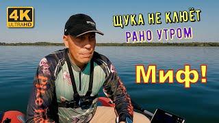 Миф: Щука не клюёт рано утром!