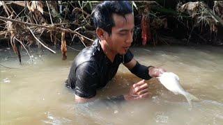 KUAT SEKALI NAPASNYA - SAMBIL MENYELAM ORANG INI MENANGKAP IKAN PAKAI TANGAN KOSONG