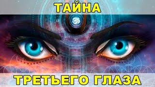 «Третий глаз»– как работает шишковидная железа. Лекция из закрытого канала про эпифиз. Ведич.