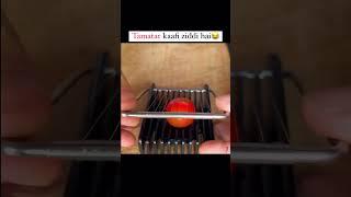 Ziddi Tamatar #tamatar #tomato #cutter #foods #funny #tagyourfriends #meme #food #relatable #short