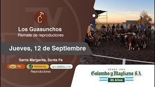 2024.09.12 Los Guasunchos