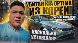 Осмотрели Kia Optima с 200 тыс пробегом | Отправка авто из Южной Кореи