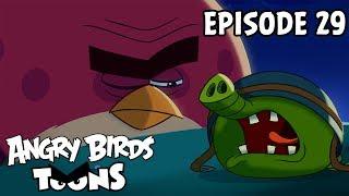 Angry Birds Toons | Nighty Night Terence - S1 Ep29