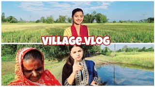 Village Vlog Mahi Saheba Vlogs