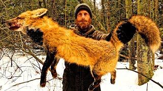 Catch and Cook WILD RED FOX!!! | PRIMITIVE BOW DRILL FIRE | EATING FOX MEAT