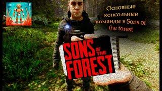 Основные консольные команды в Sons Of The Forest