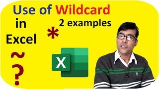 How to Use Wildcard Characters in Excel in hindi | Excel Wildcard Characters in Formulas