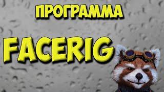 Программа FaceRig Pro для стрима с вебкой