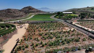 Pumpkin Patch, Vegetable Quiche, Berry Farm, Benefits of Perennial Crops - America's Heartland