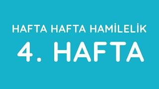 4.Hafta - Hafta Hafta Gebelik - Hamilelik | Anneysen.com