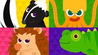 Stinky Skunk Fart  | Sing Along with Animals | Animal Songs | Tidi Songs for Children TidiKids