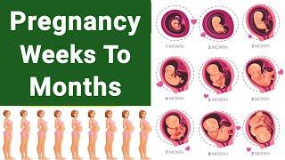 Pregnancy Weeks To Months| 1 To 40 Weeks Fetal development| 3D Animation |  #mujahidmedicalknowledge